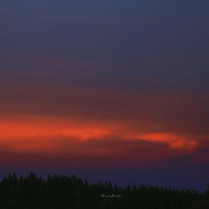 裸体美女开腿率
