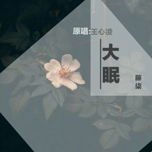 裸体美女开腿率
