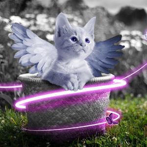 裸体美女开腿率
