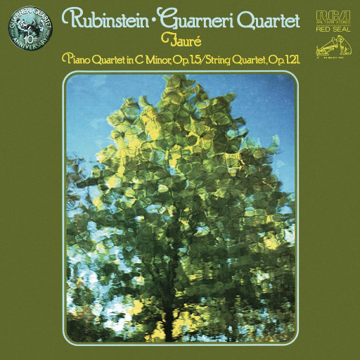 裸体美女开腿率
